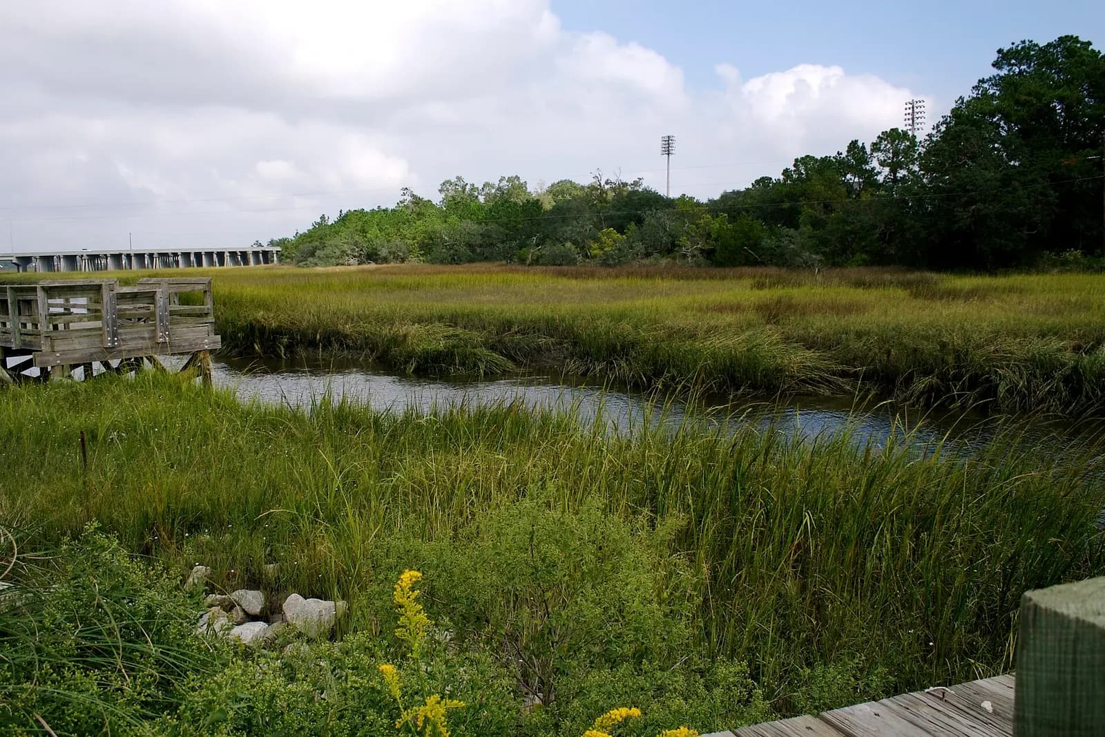 Marsh grass and a wooden dock on Daniel Island, SC